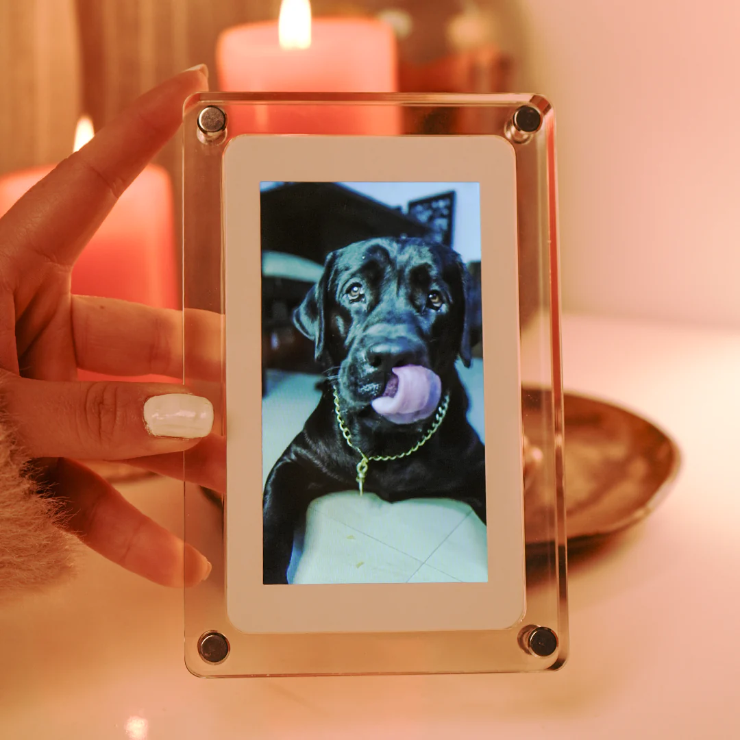 Wavyy Digital Photo Frame
