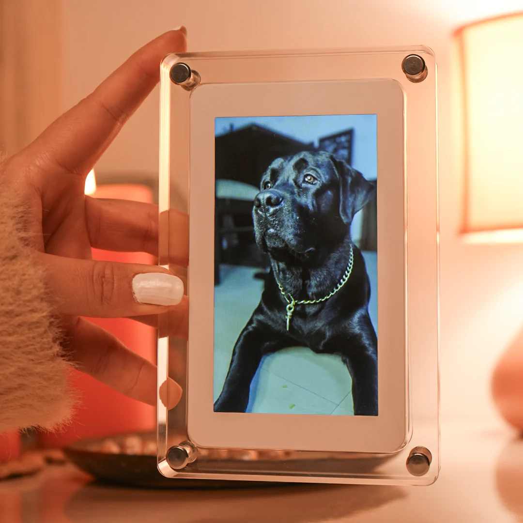 Wavyy Digital Photo Frame