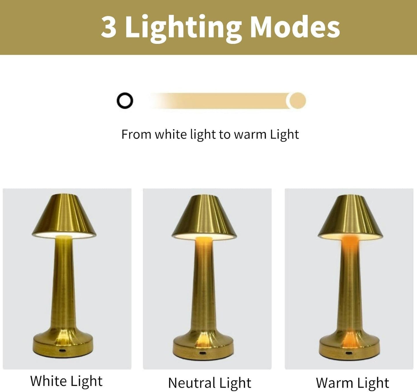 LED Metal Desk Lamp